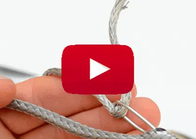 Photo d'une miniature youtube épissure messager