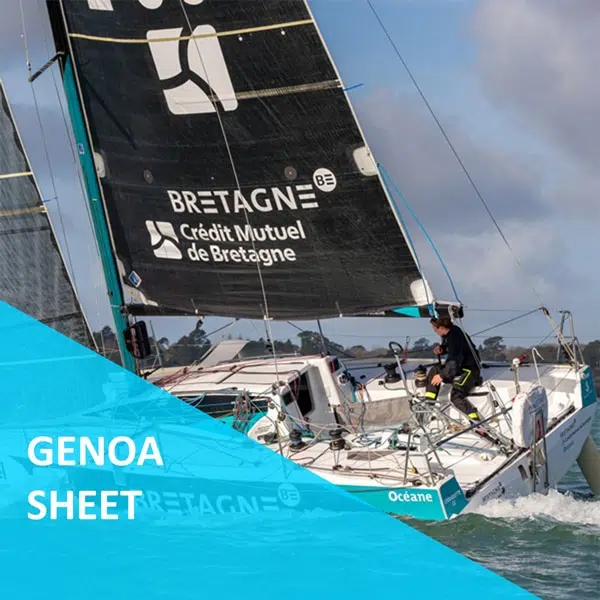 genoa sheet for regatta boats
