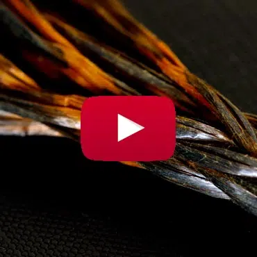 Photo d'une miniature youtube dossier reconnaître les différentes fibres